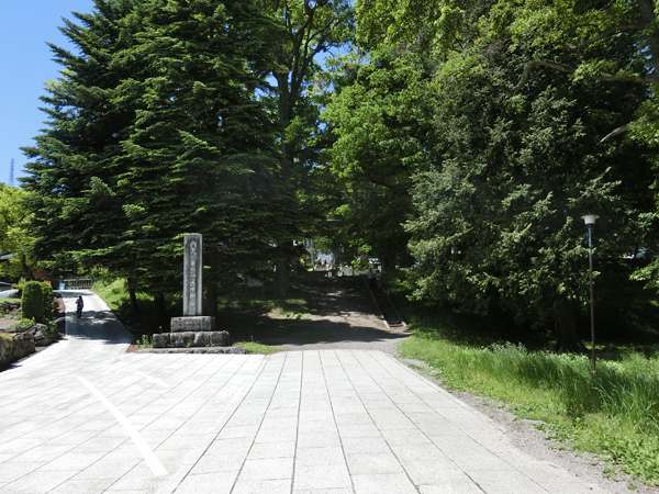 f:id:inudenchi:20170619223943j:plain f:id:inudenchi:20170619223943j:plain