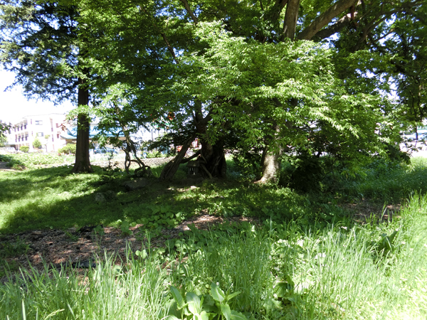 f:id:inudenchi:20170619224012j:plain f:id:inudenchi:20170619224012j:plain