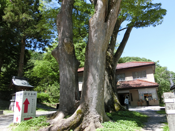 f:id:inudenchi:20170619224317j:plain f:id:inudenchi:20170619224317j:plain