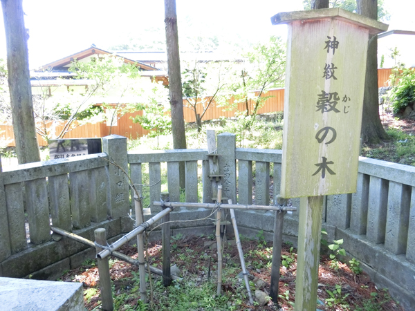 f:id:inudenchi:20170619224451j:plain f:id:inudenchi:20170619224451j:plain