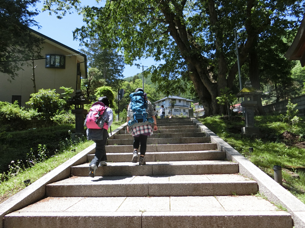 f:id:inudenchi:20170619225058j:plain f:id:inudenchi:20170619225058j:plain