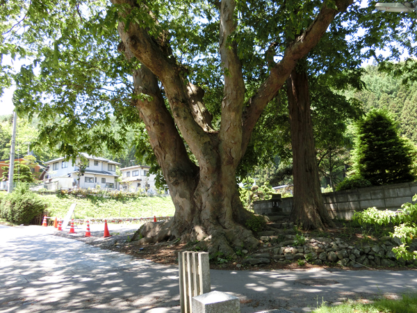 f:id:inudenchi:20170619225117j:plain f:id:inudenchi:20170619225117j:plain