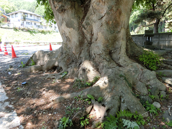 f:id:inudenchi:20170619225139j:plain f:id:inudenchi:20170619225139j:plain