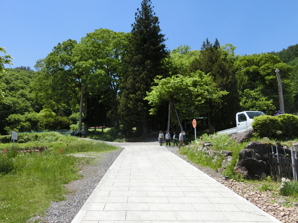 f:id:inudenchi:20170619225332j:plain f:id:inudenchi:20170619225332j:plain