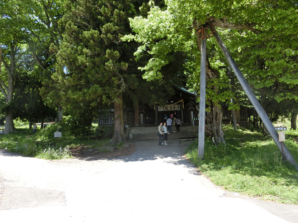 f:id:inudenchi:20170619225352j:plain f:id:inudenchi:20170619225352j:plain