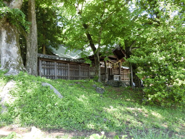 f:id:inudenchi:20170619225626j:plain f:id:inudenchi:20170619225626j:plain