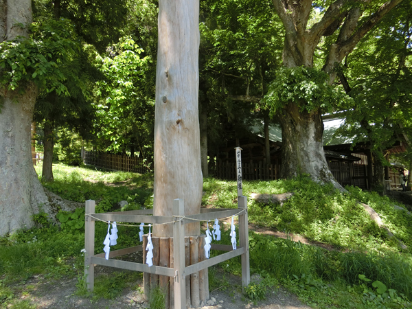 f:id:inudenchi:20170619225822j:plain f:id:inudenchi:20170619225822j:plain