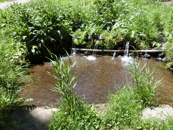 f:id:inudenchi:20170619225901j:plain f:id:inudenchi:20170619225901j:plain