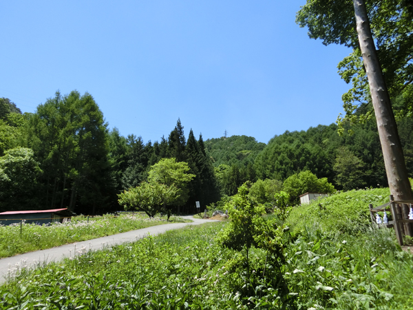 f:id:inudenchi:20170619225920j:plain f:id:inudenchi:20170619225920j:plain