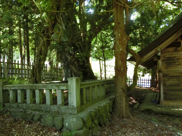 f:id:inudenchi:20170619230032j:plain f:id:inudenchi:20170619230032j:plain