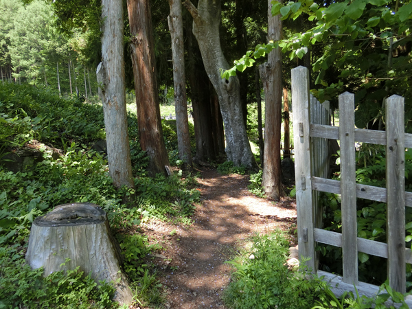 f:id:inudenchi:20170619230129j:plain f:id:inudenchi:20170619230129j:plain