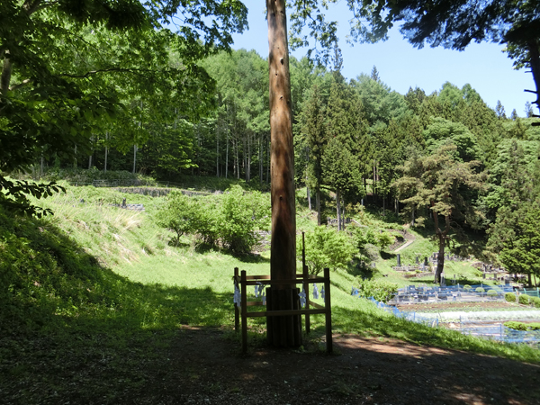 f:id:inudenchi:20170619230203j:plain f:id:inudenchi:20170619230203j:plain