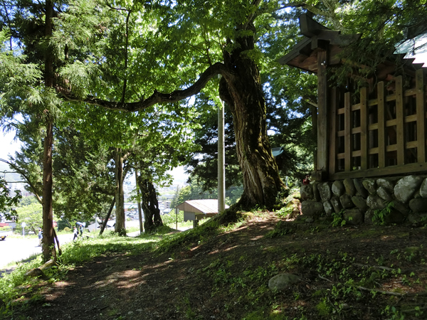 f:id:inudenchi:20170619230231j:plain f:id:inudenchi:20170619230231j:plain