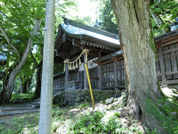 f:id:inudenchi:20170619230247j:plain f:id:inudenchi:20170619230247j:plain