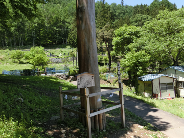 f:id:inudenchi:20170619230308j:plain f:id:inudenchi:20170619230308j:plain