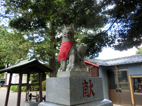 西窪稲荷神社の右の狐