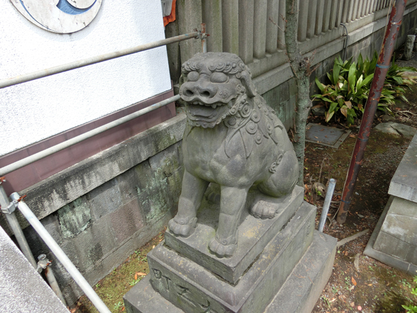 富岡八幡宮の右の狛犬