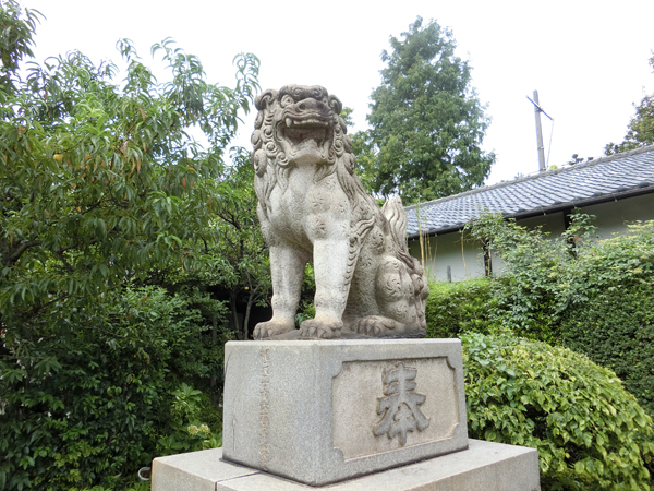 玉姫稲荷神社の右の狛犬