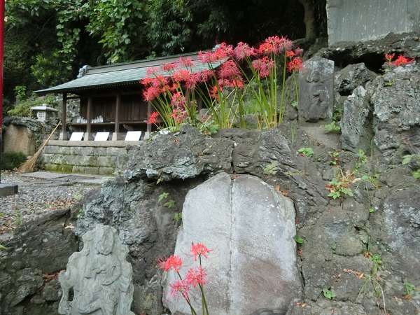 f:id:inudenchi:20171026182353j:plain