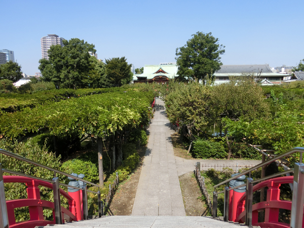 f:id:inudenchi:20171113175209j:plain