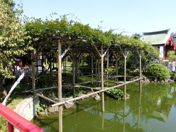 f:id:inudenchi:20171113175515j:plain