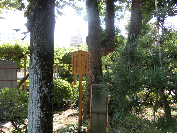 f:id:inudenchi:20171113180148j:plain