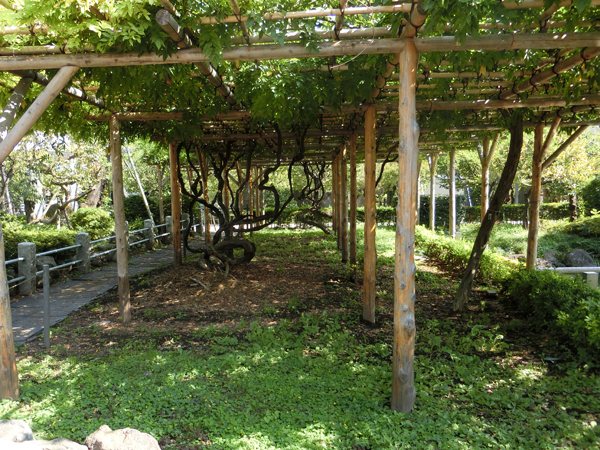 f:id:inudenchi:20171113181343j:plain