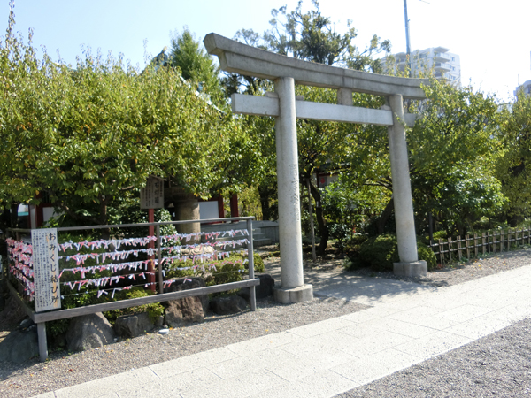 f:id:inudenchi:20171113182103j:plain