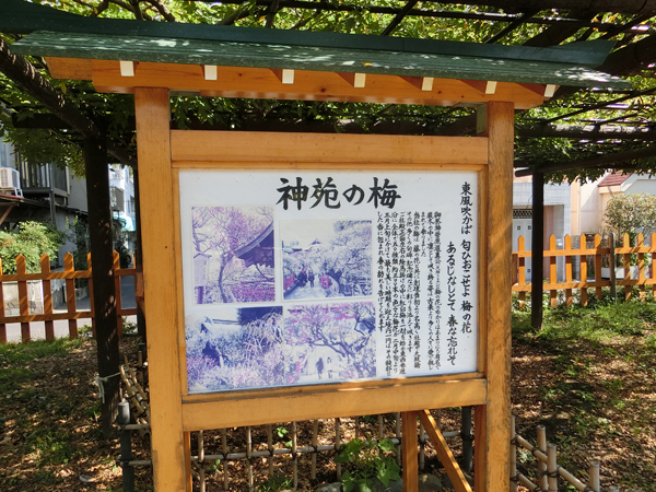 f:id:inudenchi:20171113182324j:plain