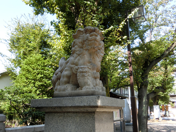 亀戸香取神社の左の狛犬