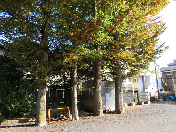 f:id:inudenchi:20171221203851j:plain