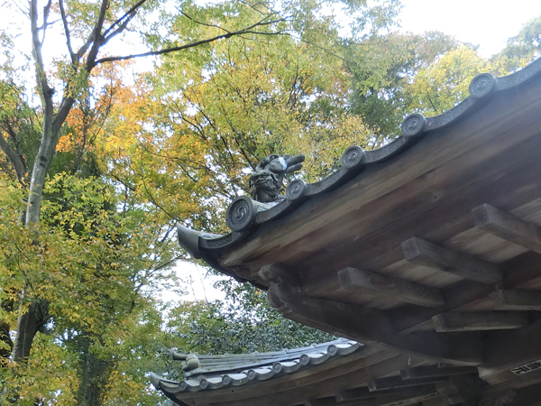 f:id:inudenchi:20171223212640j:plain