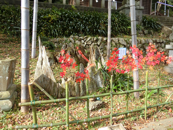 f:id:inudenchi:20171223212840j:plain