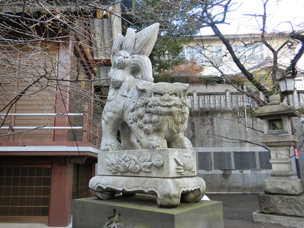 元三島神社の左の狛犬