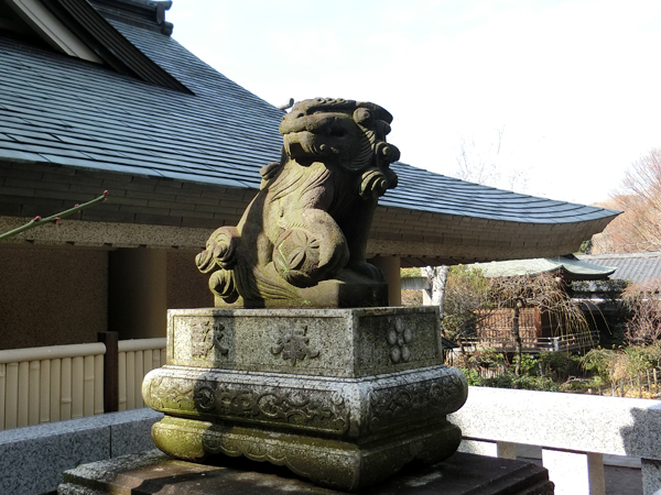 五條天神社の左の狛犬