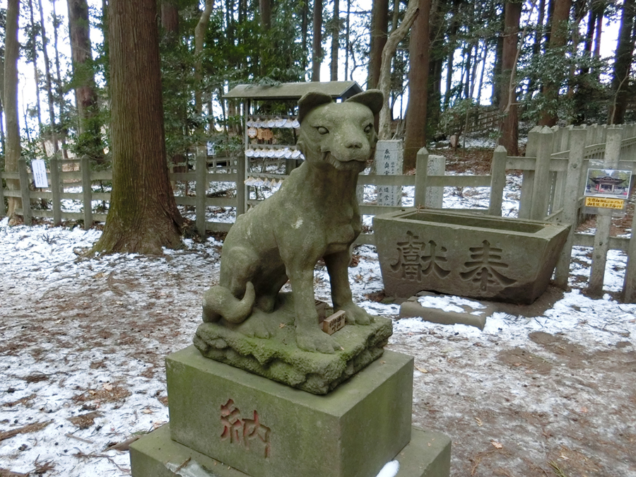 宝登山神社奥宮の左の狼