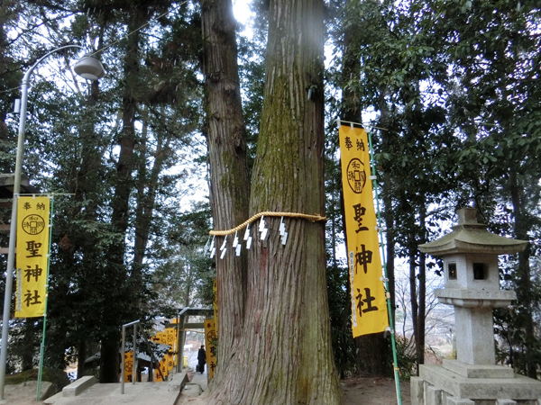 f:id:inudenchi:20180324213614j:plain f:id:inudenchi:20180324213614j:plain