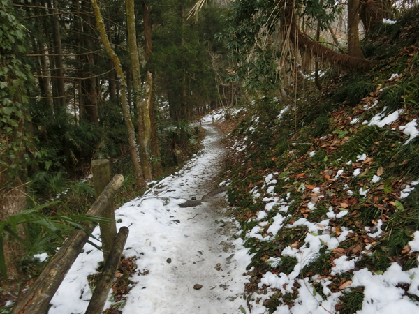 f:id:inudenchi:20180324213804j:plain f:id:inudenchi:20180324213804j:plain