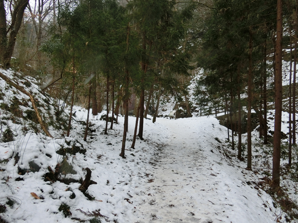 f:id:inudenchi:20180324213843j:plain f:id:inudenchi:20180324213843j:plain