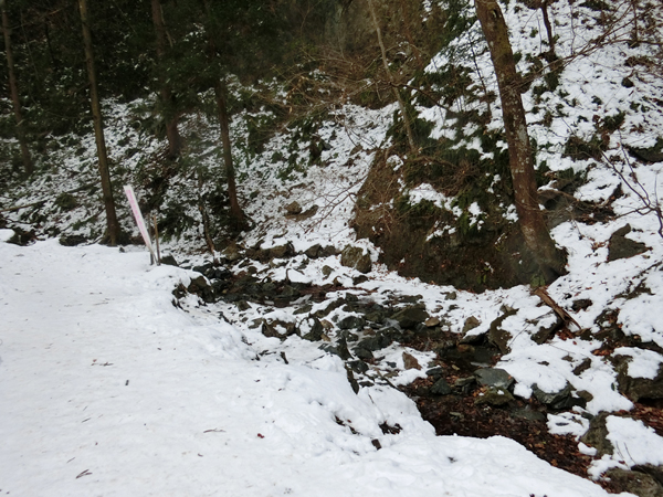 f:id:inudenchi:20180324213949j:plain f:id:inudenchi:20180324213949j:plain