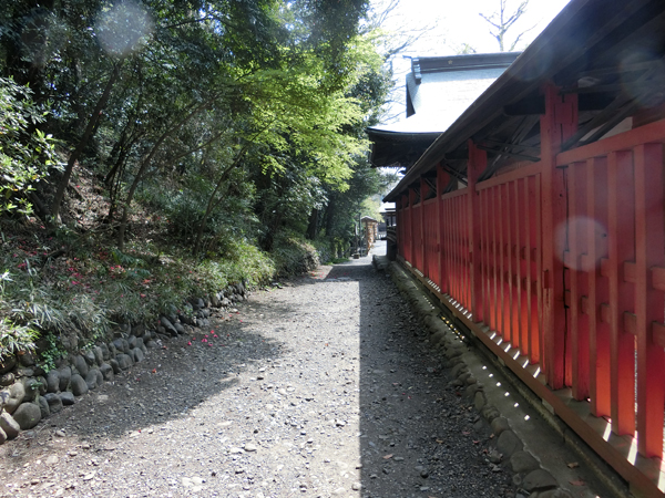 f:id:inudenchi:20180411202813j:plain f:id:inudenchi:20180411202813j:plain