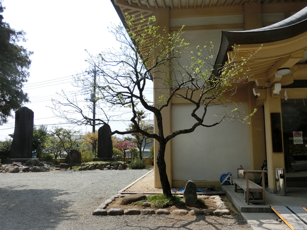 f:id:inudenchi:20180411202948j:plain f:id:inudenchi:20180411202948j:plain