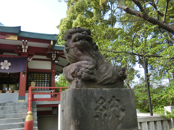 多摩川浅間神社の右の狛犬