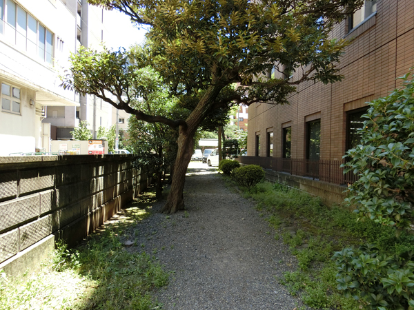 f:id:inudenchi:20180706221246j:plain