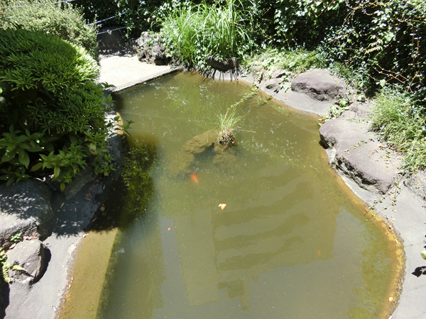 f:id:inudenchi:20180706221851j:plain