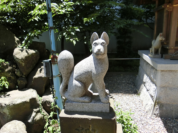 羽衣町厳島神社内の豊受稲荷神社にいる左の狐