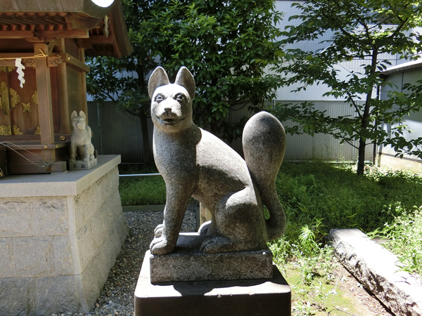 羽衣町厳島神社内の豊受稲荷神社にいる右の狐
