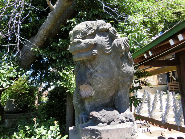 石川町諏訪神社の左の狛犬