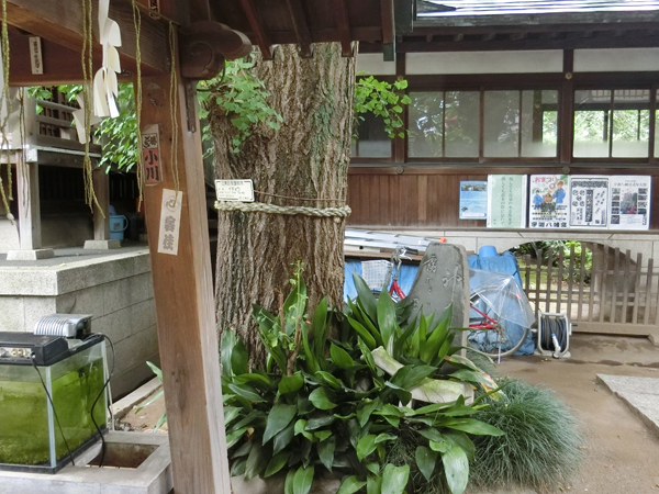f:id:inudenchi:20180719230405j:plain