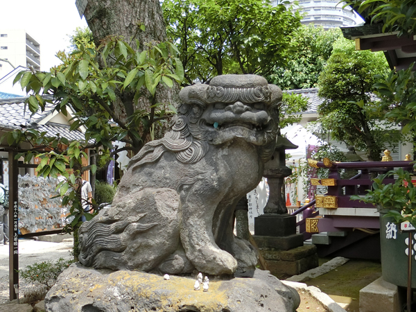 高木神社の左の狛犬